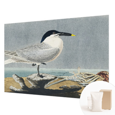 Fototapete fürs Schlafzimmer mit ornithologischem Motiv in elegantem Design