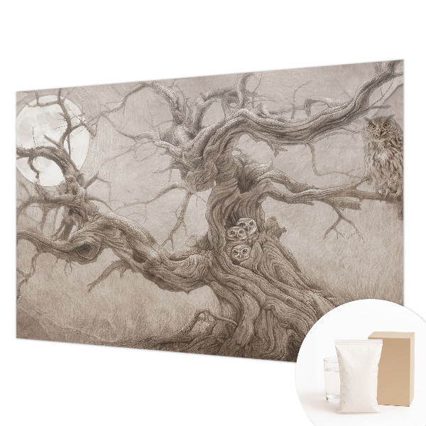 Vlies-Fototapete fürs Schlafzimmer Nachtvögel