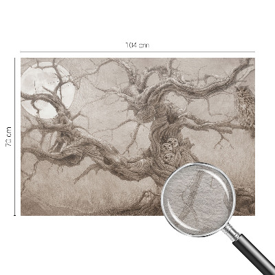 Vlies-Fototapete fürs Schlafzimmer Nachtvögel