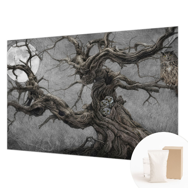 Fototapete fürs Wohnzimmer Geheimnisvolle Eule