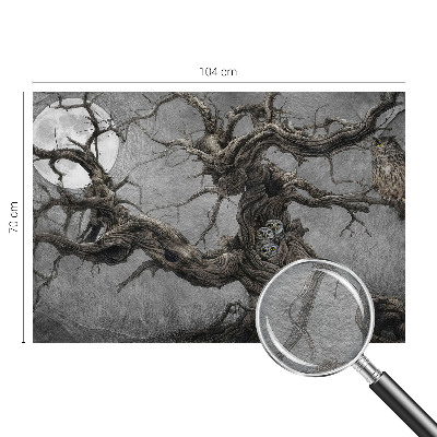 Fototapete fürs Wohnzimmer Geheimnisvolle Eule