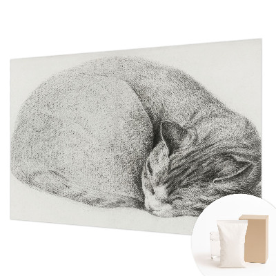 Motivtapete aus Vlies mit aufgedrucktem Motiv einer zusammengerollten Katze