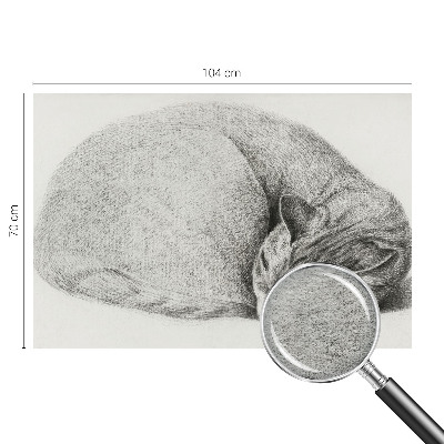 Motivtapete aus Vlies Zusammengerollte Katze