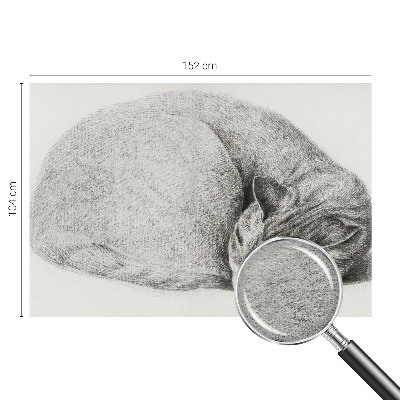 Motivtapete aus Vlies mit aufgedrucktem Motiv einer zusammengerollten Katze
