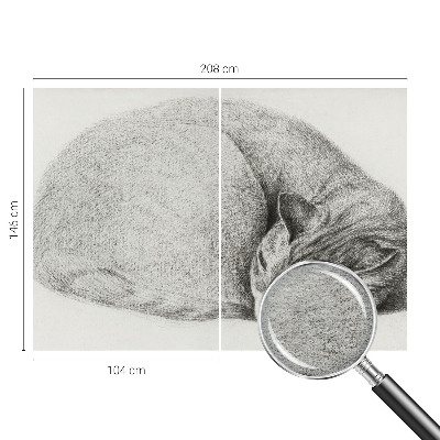 Motivtapete aus Vlies Zusammengerollte Katze