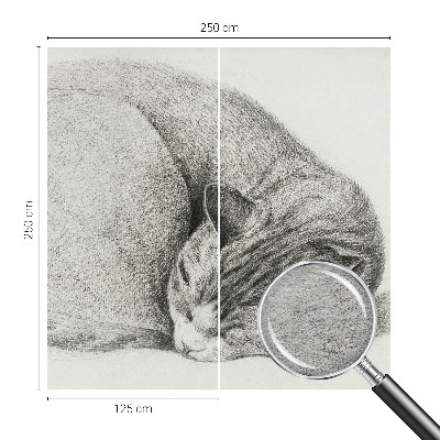 Motivtapete aus Vlies mit aufgedrucktem Motiv einer zusammengerollten Katze