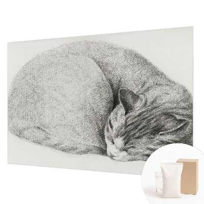 Motivtapete aus Vlies mit aufgedrucktem Motiv einer zusammengerollten Katze