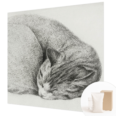 Motivtapete aus Vlies mit aufgedrucktem Motiv einer zusammengerollten Katze