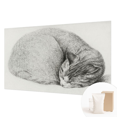 Motivtapete aus Vlies mit aufgedrucktem Motiv einer zusammengerollten Katze