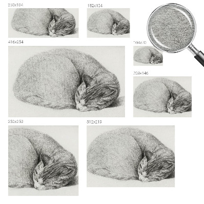 Motivtapete aus Vlies mit aufgedrucktem Motiv einer zusammengerollten Katze