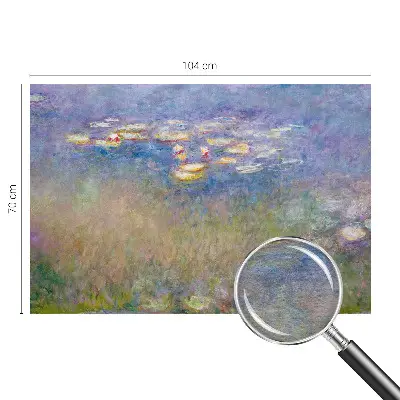 Vlies-Fototapete fürs Wohnzimmer mit Motiv Seerosen