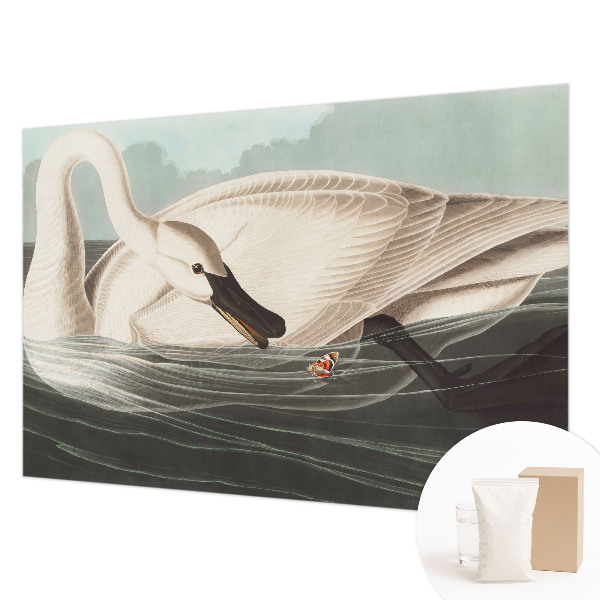 Vlies-Fototapete fürs Kinderzimmer Harmonie der Natur