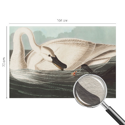 Vlies-Fototapete fürs Kinderzimmer Harmonie der Natur