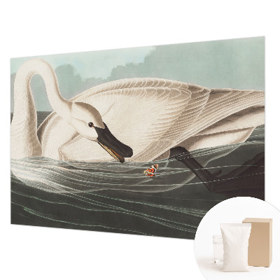 Vlies-Fototapete fürs Kinderzimmer Harmonie der Natur