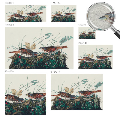 Vliestapete fürs Wohnzimmer Der Zauber der Natur