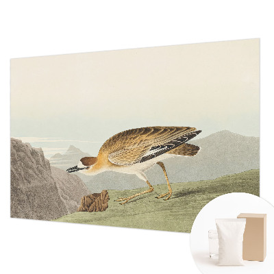 Vliestapete fürs Schlafzimmer mit Motiv eines Bergvogels