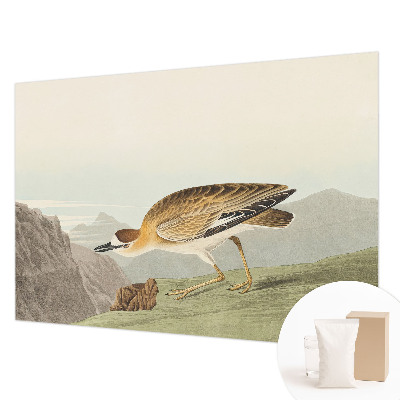 Vliestapete fürs Schlafzimmer mit Motiv eines Bergvogels