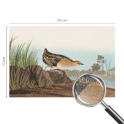 Bedruckte Vlies-Fototapete mit Naturszene