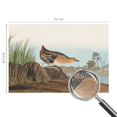 Bedruckte Vlies-Fototapete mit Naturszene