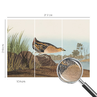 Bedruckte Vlies-Fototapete mit Naturszene
