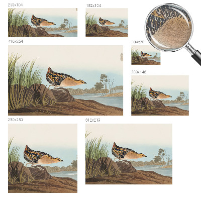 Bedruckte Vlies-Fototapete mit Naturszene