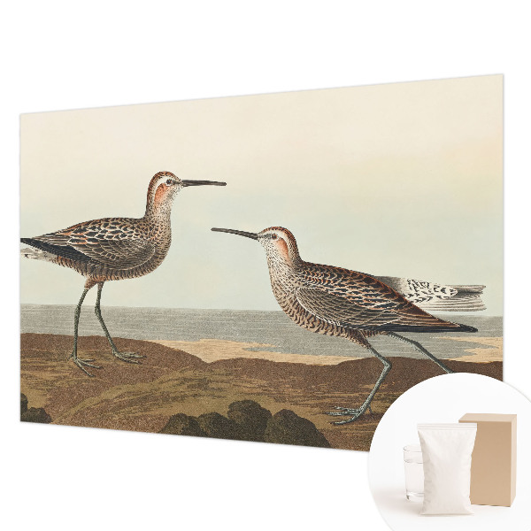 Fototapete fürs Kinderzimmer Vogelsilhouetten