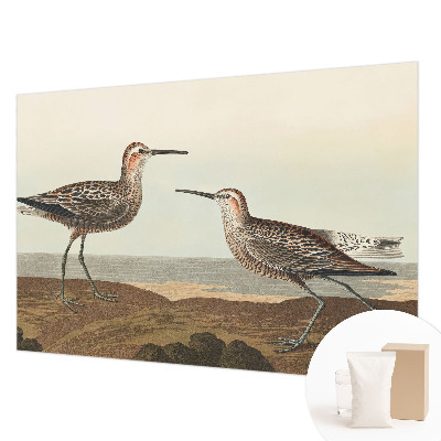 Fototapete fürs Kinderzimmer mit Vogelsilhouetten