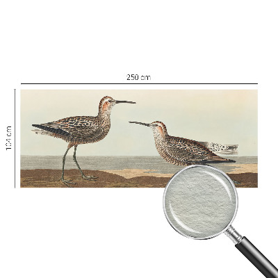 Fototapete fürs Kinderzimmer Vogelsilhouetten