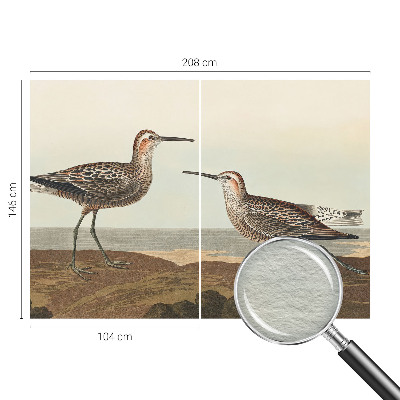 Fototapete fürs Kinderzimmer Vogelsilhouetten