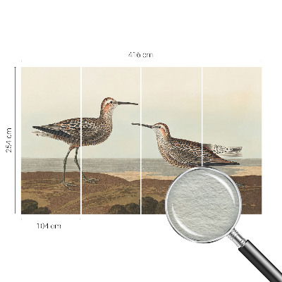 Fototapete fürs Kinderzimmer Vogelsilhouetten