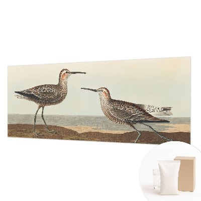 Fototapete fürs Kinderzimmer Vogelsilhouetten