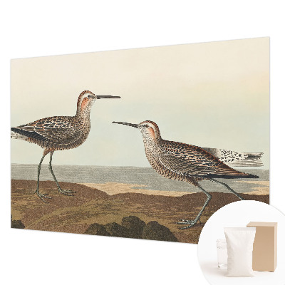 Fototapete fürs Kinderzimmer mit Vogelsilhouetten