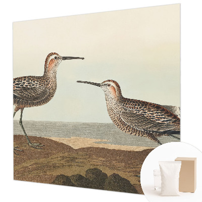 Fototapete fürs Kinderzimmer mit Vogelsilhouetten