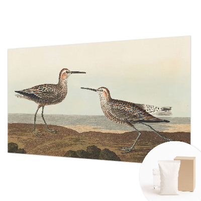 Fototapete fürs Kinderzimmer mit Vogelsilhouetten