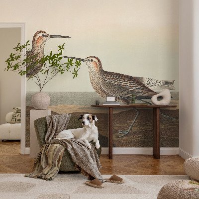 Fototapete fürs Kinderzimmer mit Vogelsilhouetten