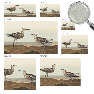 Fototapete fürs Kinderzimmer Vogelsilhouetten