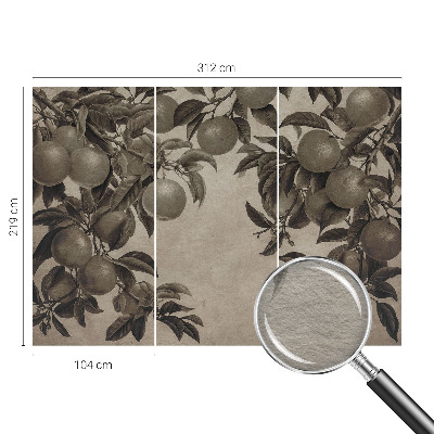 Fototapete fürs Wohnzimmer Fruchtmuster