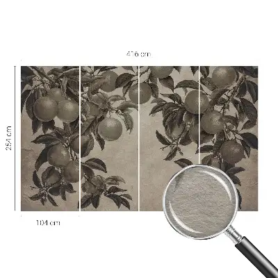 Fototapete fürs Wohnzimmer mit Fruchtmuster