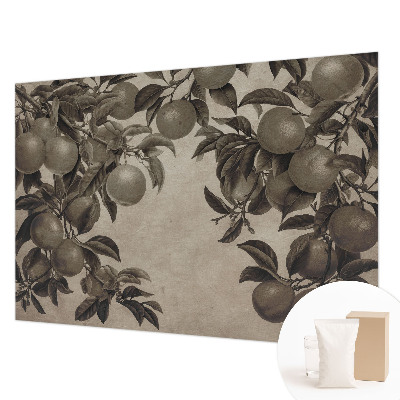 Fototapete fürs Wohnzimmer Fruchtmuster