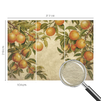 Fototapete fürs Schlafzimmer Fruchtzweige