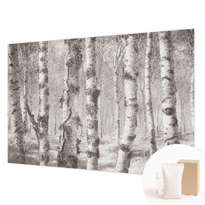 Vlies-Fototapete fürs Schlafzimmer mit Motiv Birkenwald