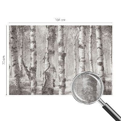 Vlies-Fototapete fürs Schlafzimmer mit Motiv Birkenwald