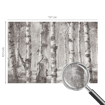 Vlies-Fototapete fürs Schlafzimmer mit Motiv Birkenwald