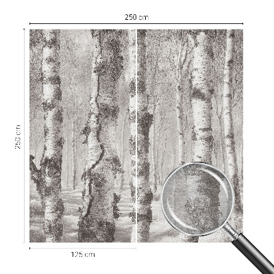 Vlies-Fototapete fürs Schlafzimmer Birkenwald