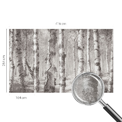 Vlies-Fototapete fürs Schlafzimmer mit Motiv Birkenwald