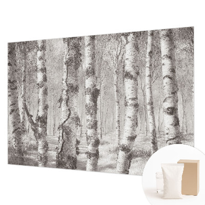 Vlies-Fototapete fürs Schlafzimmer mit Motiv Birkenwald