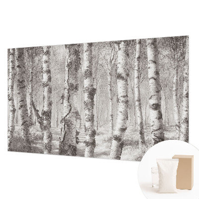 Vlies-Fototapete fürs Schlafzimmer mit Motiv Birkenwald
