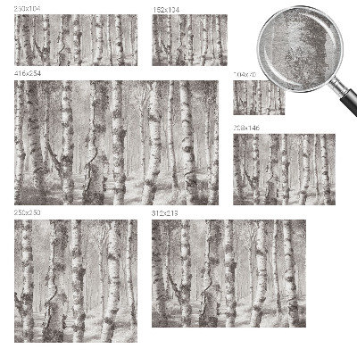 Vlies-Fototapete fürs Schlafzimmer mit Motiv Birkenwald