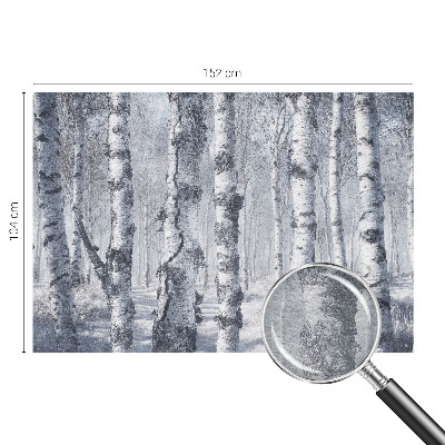 Vlies-Fototapete fürs Kinderzimmer mit frostiger Naturdarstellung