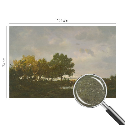 Fototapete fürs Wohnzimmer Waldlandschaft